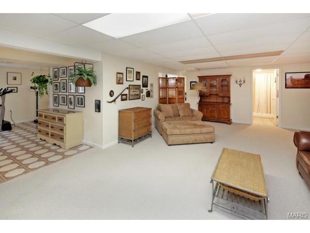 3 Feise Forest Ct, O'fallon, MO 63368 photo 15