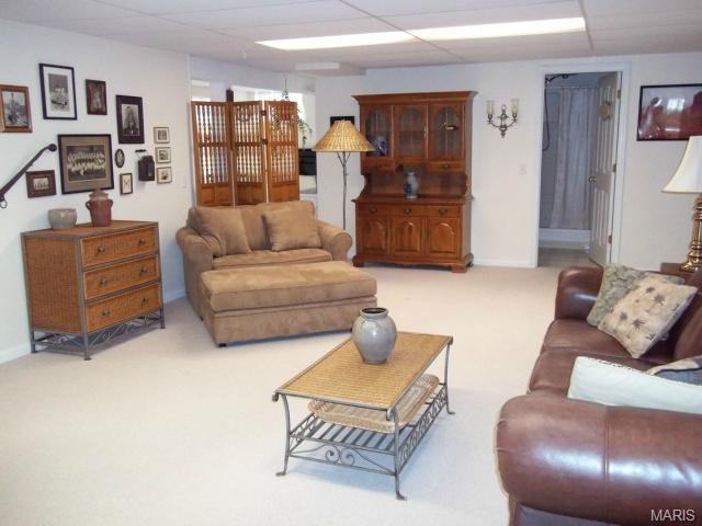 3 Feise Forest Ct, O'fallon, MO 63368 photo 12