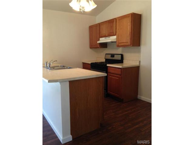 704 Daffodil Ct, O'fallon, MO 63366 photo 12