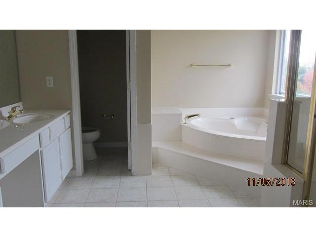 21 Bridgeway Ct, O'fallon, MO 63368 photo 14