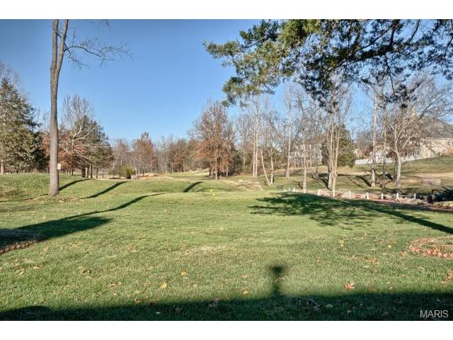 549 Fairway Oaks Dr, Eureka, MO 63025 photo 54