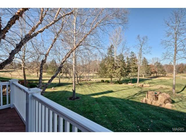 549 Fairway Oaks Dr, Eureka, MO 63025 photo 52