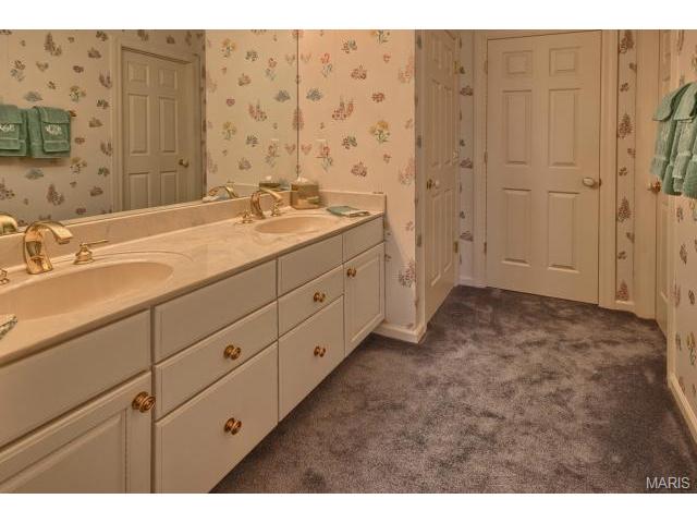 549 Fairway Oaks Dr, Eureka, MO 63025 photo 42