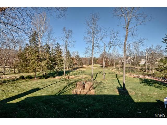 549 Fairway Oaks Dr, Eureka, MO 63025 photo 53
