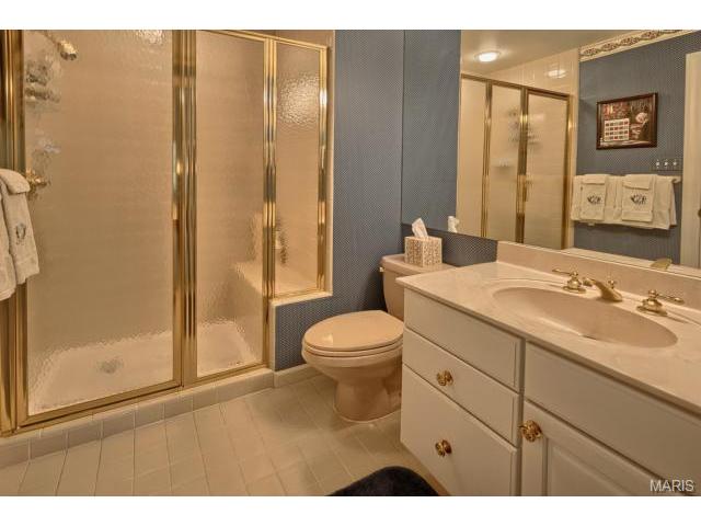 549 Fairway Oaks Dr, Eureka, MO 63025 photo 46
