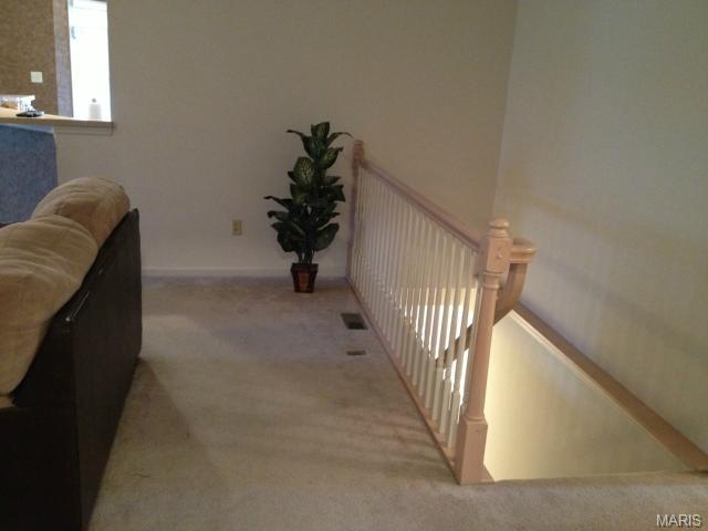 2222 Quaint Cottage Dr, O'fallon, MO 63368 photo 14