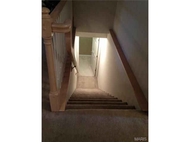 2222 Quaint Cottage Dr, O'fallon, MO 63368 photo 43