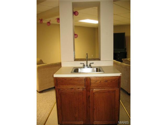 41 Winding Trails Cir, O'fallon, MO 63366 photo 17