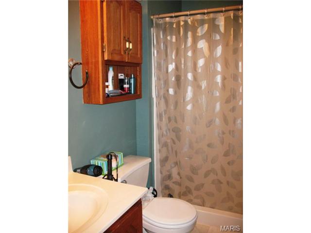 41 Winding Trails Cir, O'fallon, MO 63366 photo 14