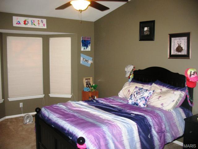 41 Winding Trails Cir, O'fallon, MO 63366 photo 13