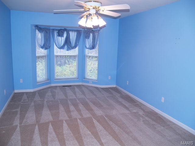 19 Limerick Ln, O'fallon, MO 63366 photo 9