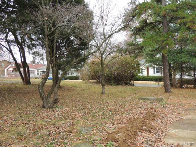 2425 Gass Ave, Overland, MO 63114 photo 25