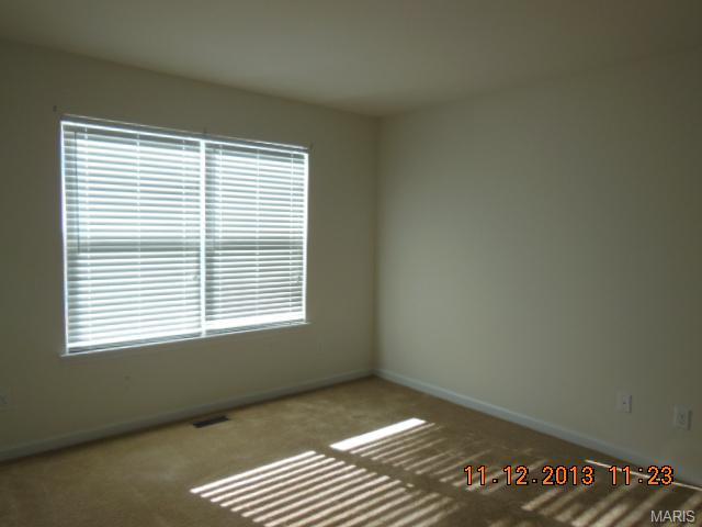 124 Belmonte Lndg, O'fallon, MO 63368 photo 17