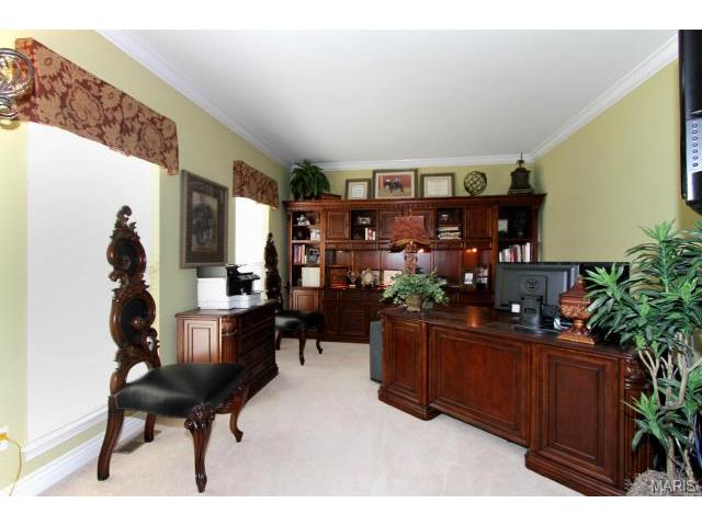423 Cerromar Dr, Eureka, MO 63025 photo 6