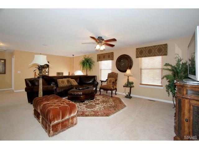 423 Cerromar Dr, Eureka, MO 63025 photo 9
