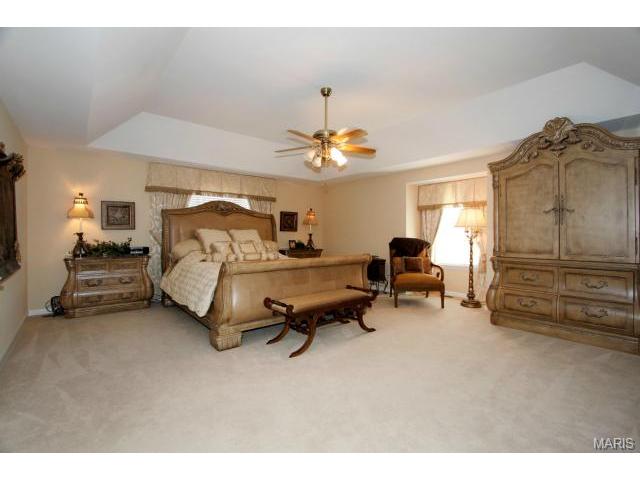 423 Cerromar Dr, Eureka, MO 63025 photo 4