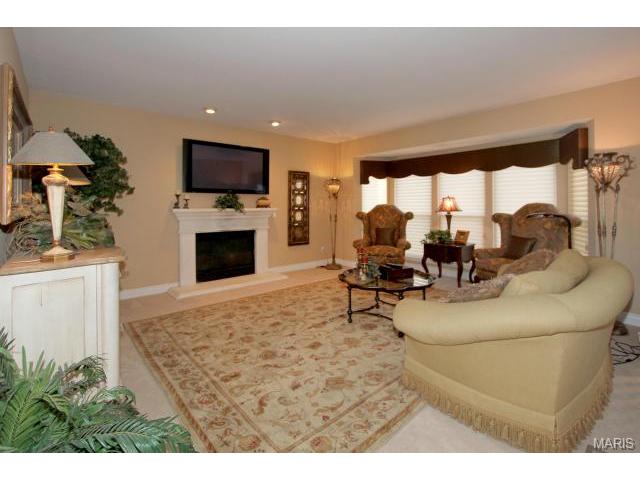 423 Cerromar Dr, Eureka, MO 63025 photo 8