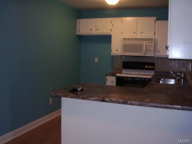 1348 Holgate #G1, Ballwin, MO 63021 photo 8