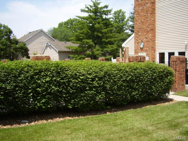 1348 Holgate #G1, Ballwin, MO 63021 photo 35