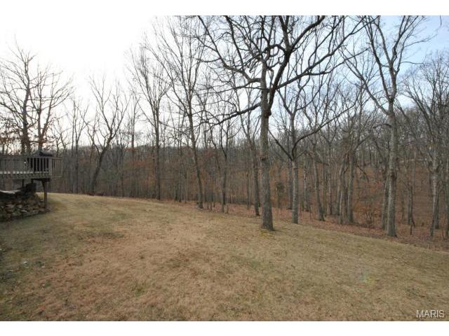 2 Cedar Fork Ct, Defiance, MO 63341 photo 6
