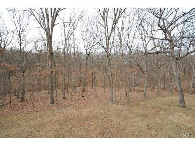 2 Cedar Fork Ct, Defiance, MO 63341 photo 41