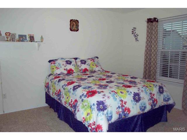 160 Valleybrook Dr, O'fallon, MO 63368 photo 14