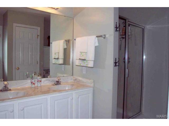 160 Valleybrook Dr, O'fallon, MO 63368 photo 12