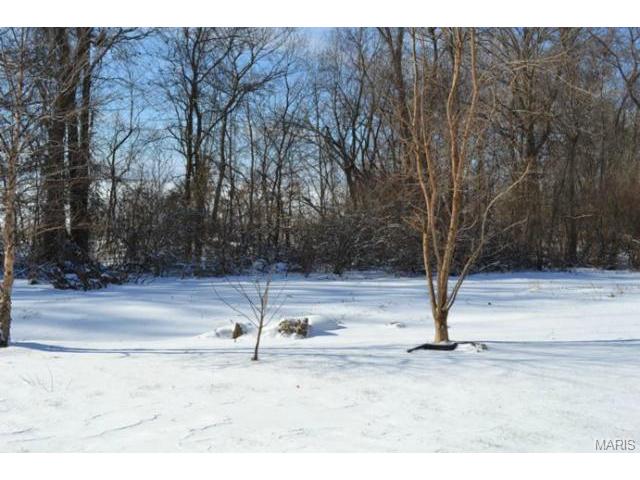 208 Spring Borough, O'fallon, MO 63368 photo 12