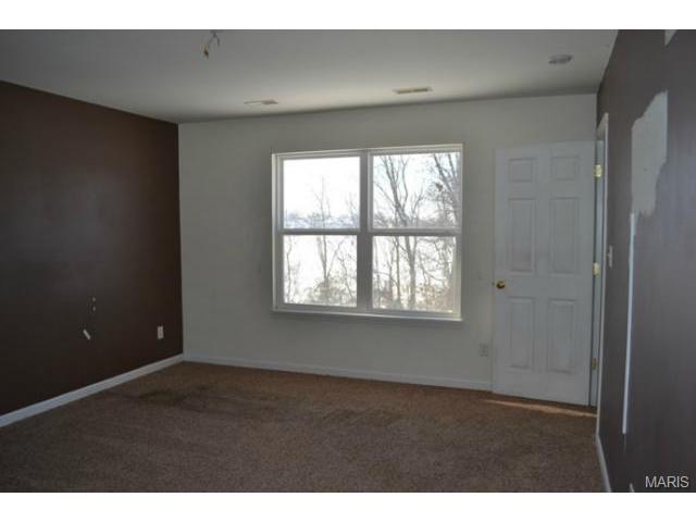 208 Spring Borough, O'fallon, MO 63368 photo 7