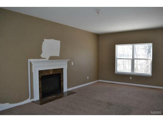208 Spring Borough, O'fallon, MO 63368 photo 2