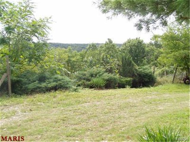 3590 E Four Ridge Rd, Imperial, MO 63052 photo 1