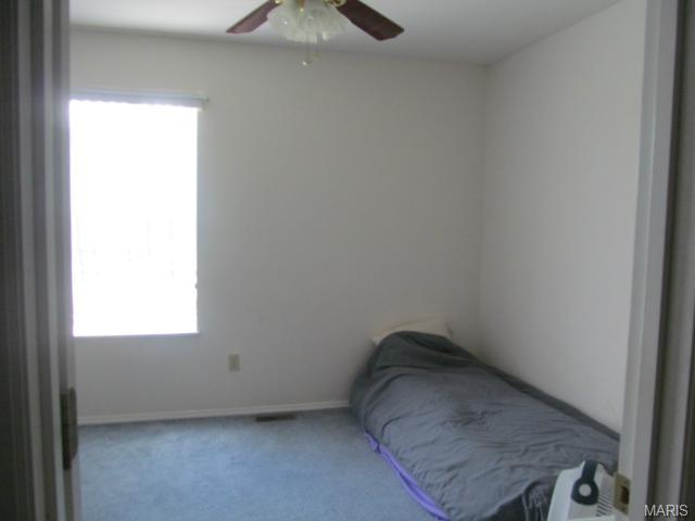 1041 Franko Dr, O'fallon, MO 63366 photo 14