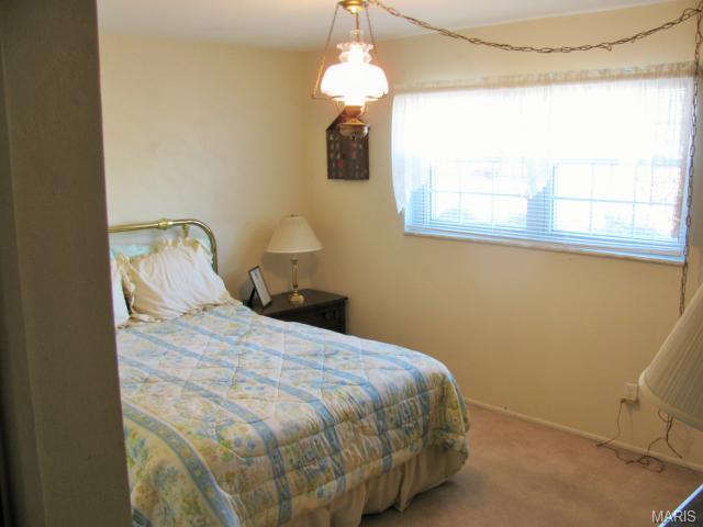 2710 Danforth, Saint Louis, MO 63129 photo 22
