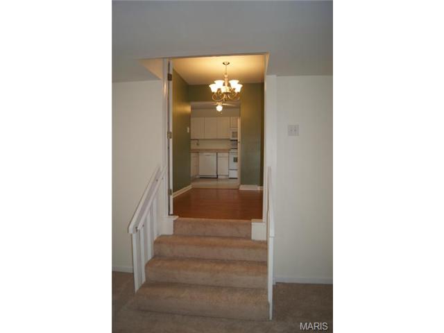 244 Nancy Pl, Ballwin, MO 63021 photo 20