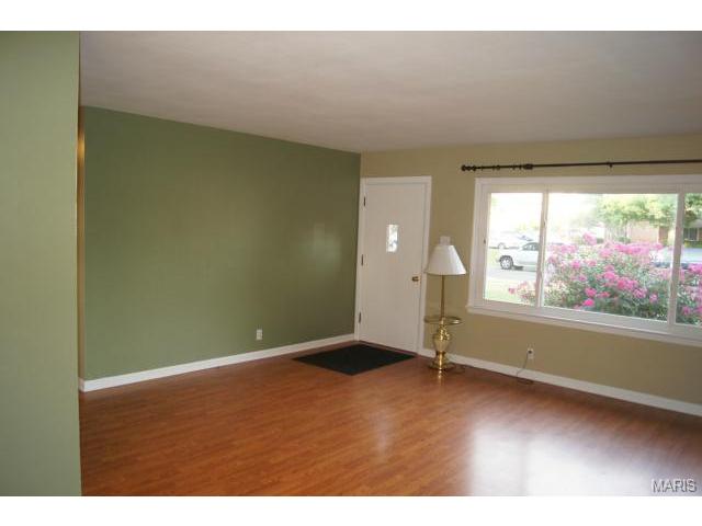 244 Nancy Pl, Ballwin, MO 63021 photo 4