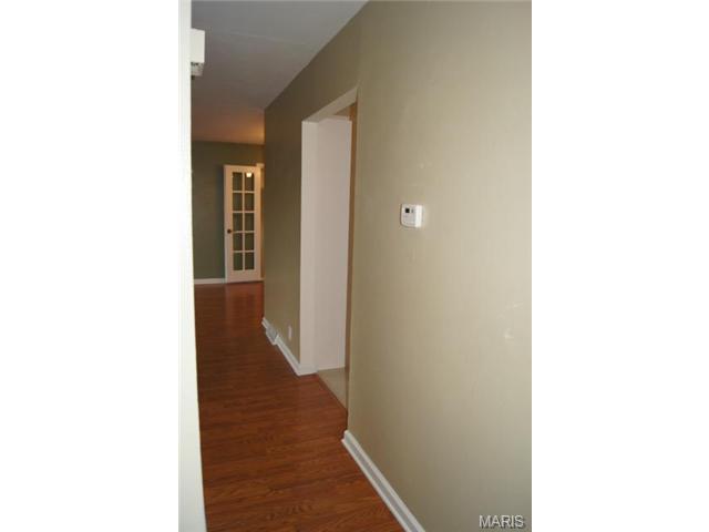 244 Nancy Pl, Ballwin, MO 63021 photo 17