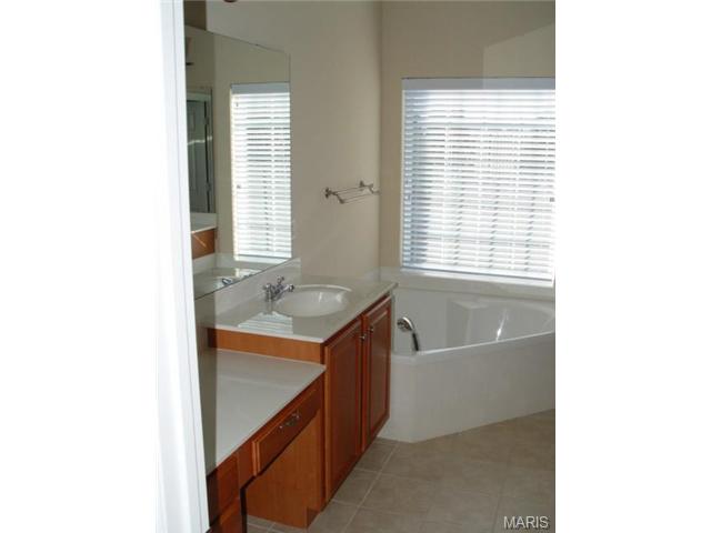 3 Sage Meadows Ct, O'fallon, MO 63366 photo 11