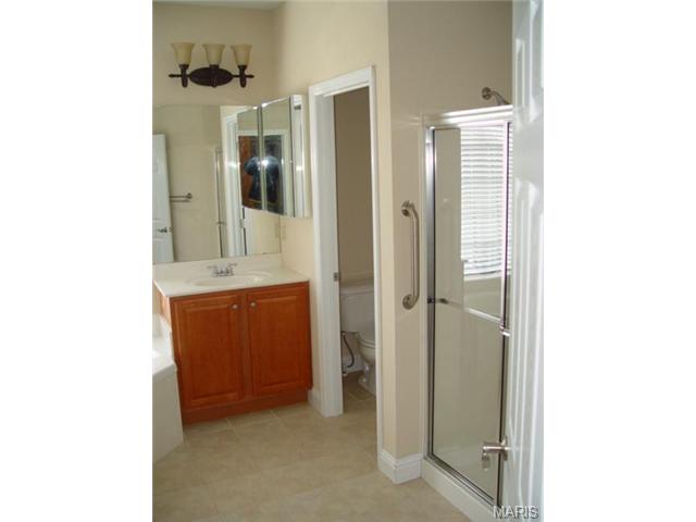 3 Sage Meadows Ct, O'fallon, MO 63366 photo 10