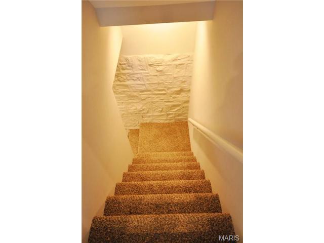 5231 Oleatha Ave, Saint Louis, MO 63139 photo 67