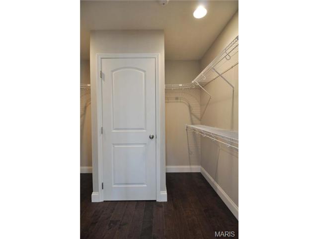 5231 Oleatha Ave, Saint Louis, MO 63139 photo 54