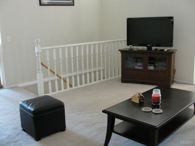 844 Molloy, O'fallon, MO 63366 photo 8