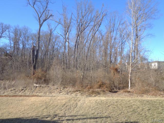 705 Phoenix Dr, O'fallon, MO 63368 photo 3