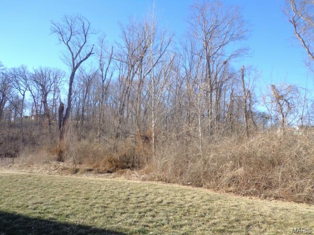 705 Phoenix Dr, O'fallon, MO 63368 photo 2