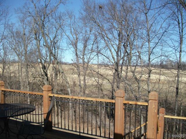 1302 Old Stone, O'fallon, MO 63368 photo 15