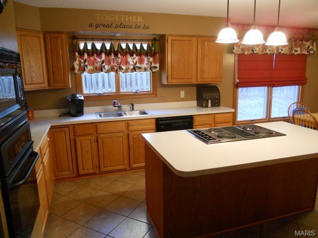 799 Spring Hill Farm Dr, Ballwin, MO 63021 photo 2