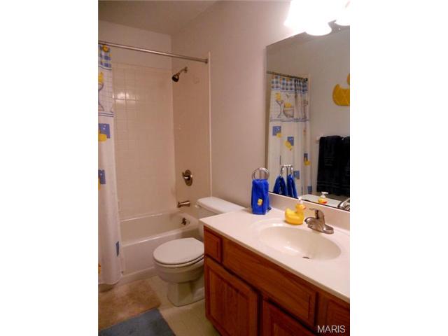 799 Spring Hill Farm Dr, Ballwin, MO 63021 photo 19