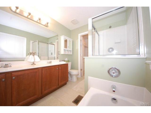 312 Wild Oak Dr, O'fallon, MO 63368 photo 10