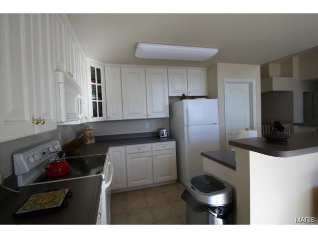 36 Autumn Ridge Dr, O'fallon, MO 63366 photo 5