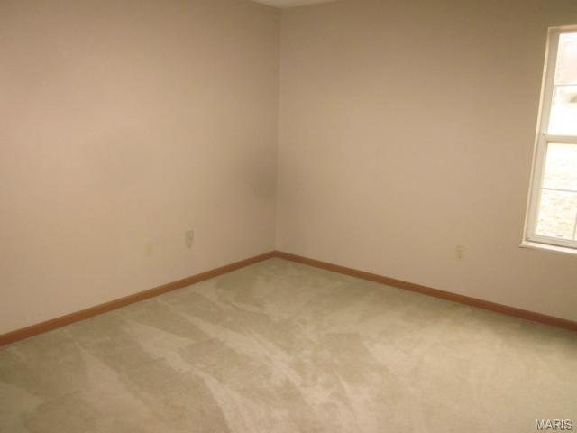 19 Berview #E, Saint Louis, MO 63129 photo 8