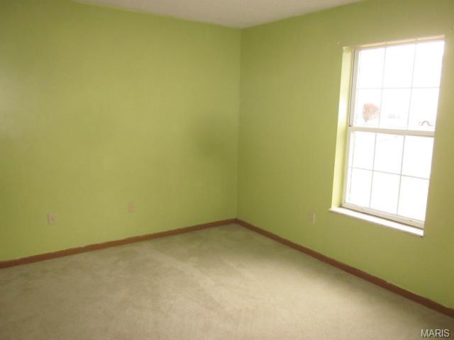 19 Berview #E, Saint Louis, MO 63129 photo 6